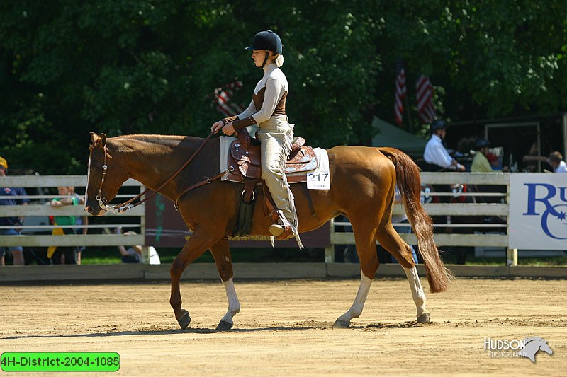 4H-District-2004-1085.jpg