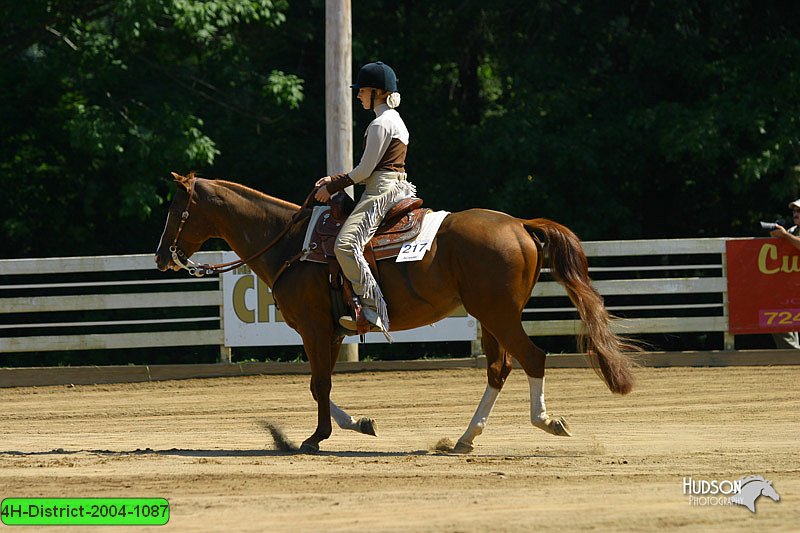 4H-District-2004-1087.jpg