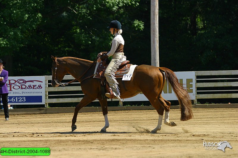 4H-District-2004-1088.jpg