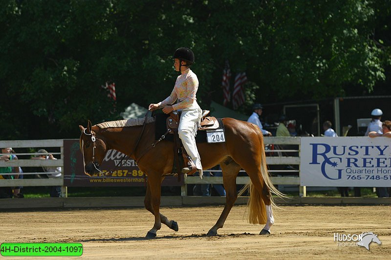 4H-District-2004-1097.jpg