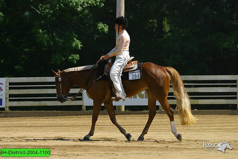 4H-District-2004-1100.jpg