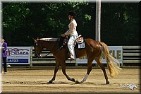 4H-District-2004-1101.jpg