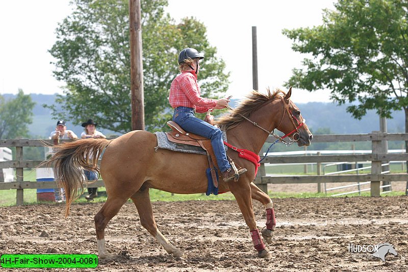 4H-Fair-Show-2004-0081.jpg