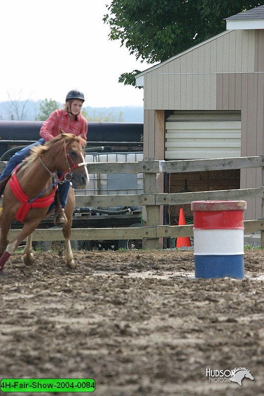 4H-Fair-Show-2004-0084.jpg