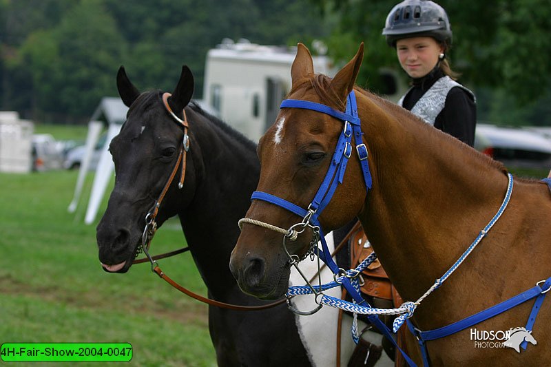 4H-Fair-Show-2004-0047.jpg