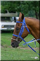 4H-Fair-Show-2004-0049.jpg