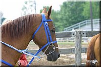 4H-Fair-Show-2004-0054.jpg