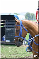 4H-Fair-Show-2004-0055.jpg