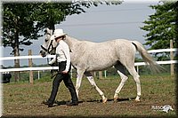 4H-Fun-Show-2004-001.jpg