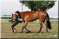 4H-Fun-Show-2004-003.jpg