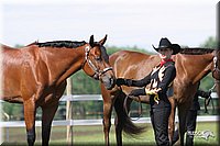 4H-Fun-Show-2004-006.jpg