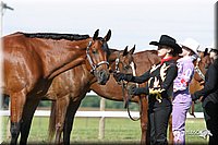 4H-Fun-Show-2004-015.jpg