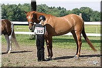 4H-Fun-Show-2004-043.jpg