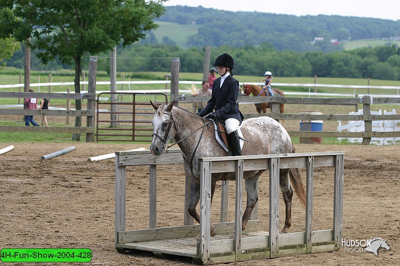4H-Fun-Show-2004-428.jpg