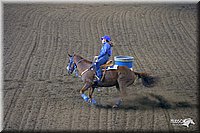 4H-State-Show-2004-0154.jpg