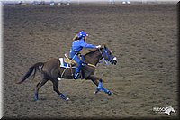 4H-State-Show-2004-0156.jpg