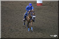 4H-State-Show-2004-0161.jpg