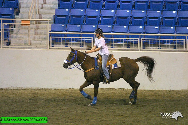 4H-State-Show-2004-0054.jpg