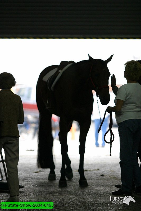 4H-State-Show-2004-0453.jpg