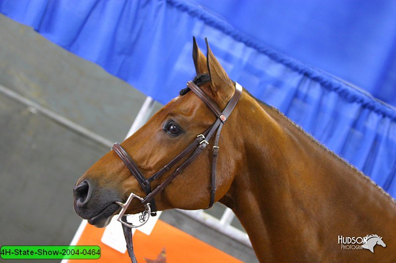 4H-State-Show-2004-0464.jpg