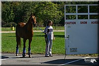 4H-State-Show-2004-0001.jpg