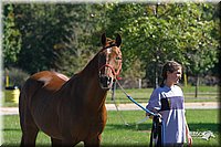 4H-State-Show-2004-0002.jpg