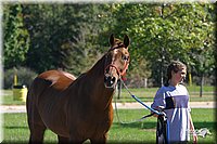 4H-State-Show-2004-0003.jpg