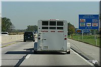 4H-State-Show-2004-0005.jpg