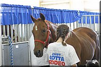 4H-State-Show-2004-0018.jpg