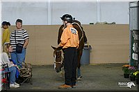 4H-State-Show-2004-0195.jpg