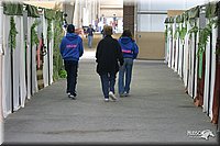 4H-State-Show-2004-0409.jpg