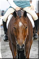 4H-State-Show-2004-0424.jpg