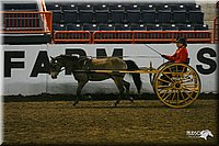 4H-State-Show-2004-0246.jpg