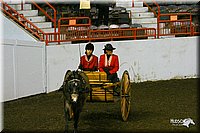 4H-State-Show-2004-0249.jpg