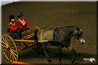 4H-State-Show-2004-0250.jpg