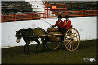 4H-State-Show-2004-0251.jpg