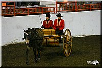 4H-State-Show-2004-0252.jpg