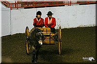 4H-State-Show-2004-0253.jpg