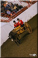 4H-State-Show-2004-0254.jpg