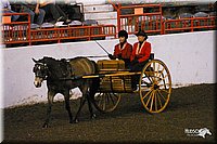 4H-State-Show-2004-0258.jpg