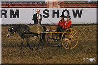 4H-State-Show-2004-0260.jpg