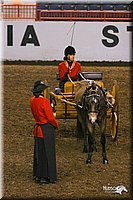 4H-State-Show-2004-0271.jpg