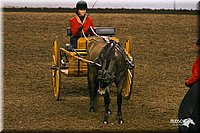 4H-State-Show-2004-0273.jpg