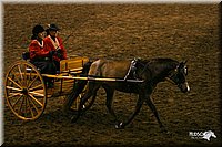 4H-State-Show-2004-0276.jpg