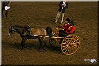 4H-State-Show-2004-0292.jpg