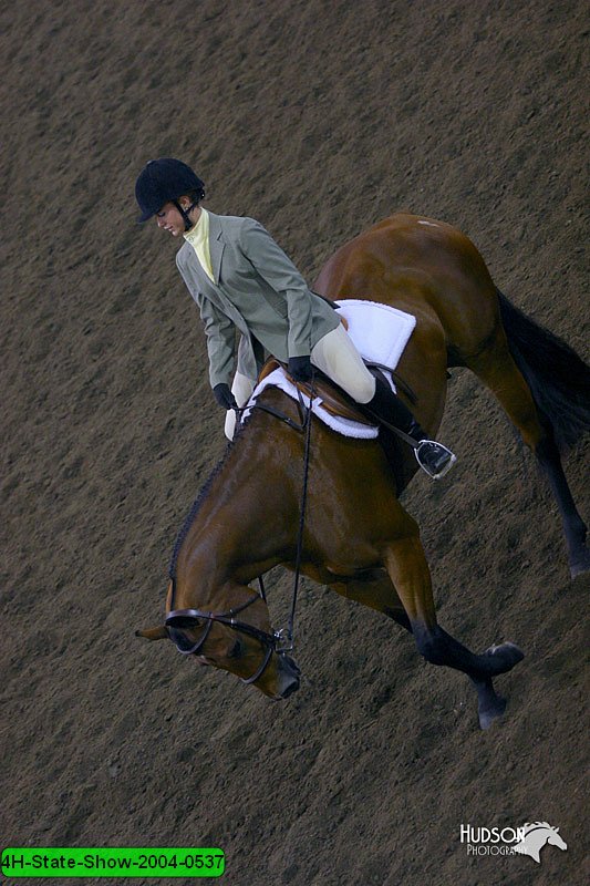 4H-State-Show-2004-0537.jpg
