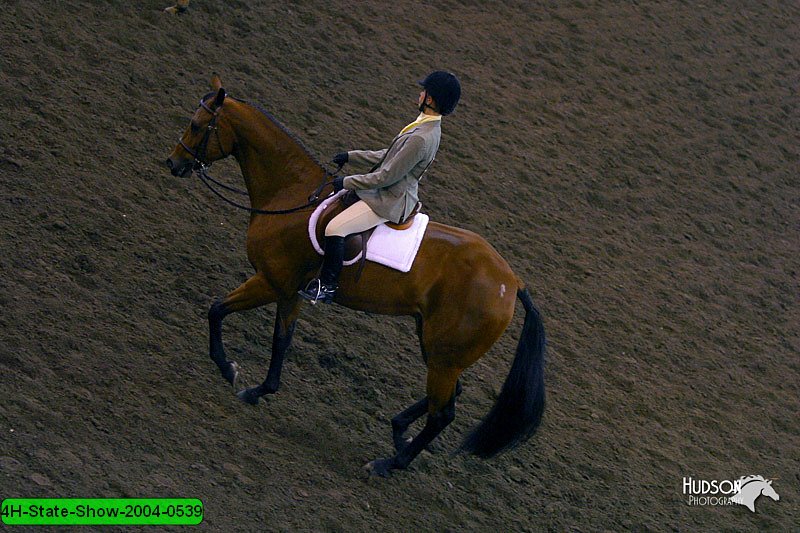 4H-State-Show-2004-0539.jpg