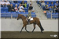 4H-State-Show-2004-0482.jpg