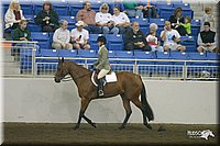 4H-State-Show-2004-0484.jpg