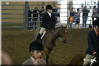 4H-State-Show-2004-0486.jpg